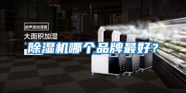 除湿机哪个品牌最好？