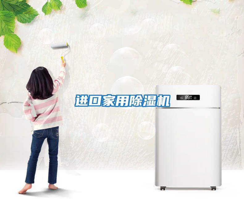 进口家用除湿机