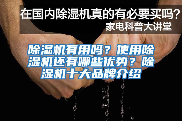 除湿机有用吗？使用除湿机还有哪些优势？除湿机十大品牌介绍