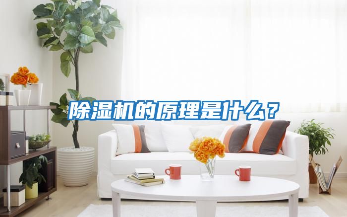 除湿机的原理是什么？