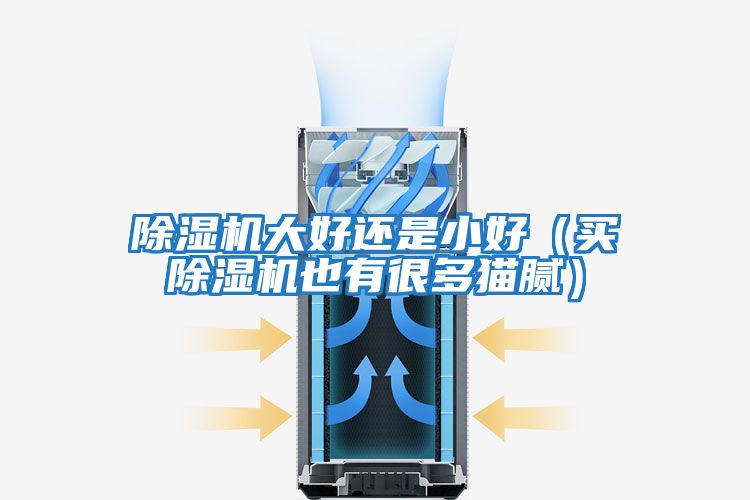 除湿机大好还是小好（买除湿机也有很多猫腻）