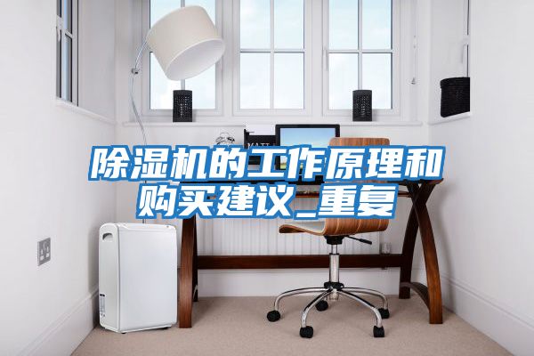 除湿机的工作原理和购买建议_重复
