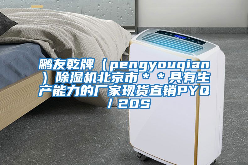 鹏友乾牌（pengyouqian）除湿机北京市＊＊具有生产能力的厂家现货直销PYQ／20S