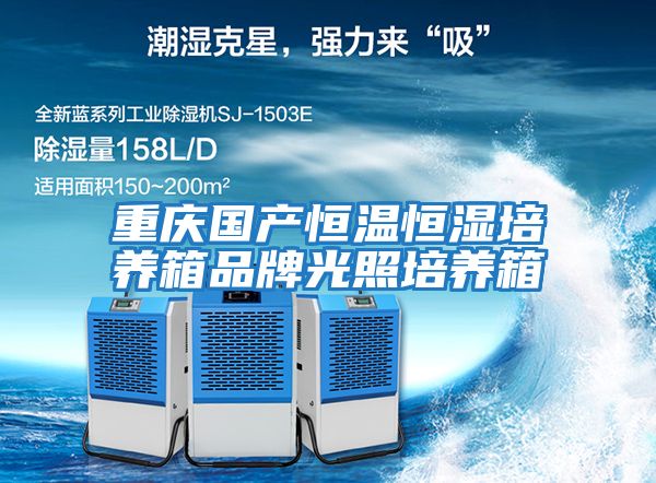 重庆国产恒温恒湿培养箱品牌光照培养箱