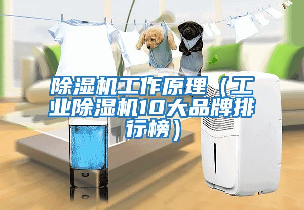 除湿机工作原理（工业除湿机10大品牌排行榜）