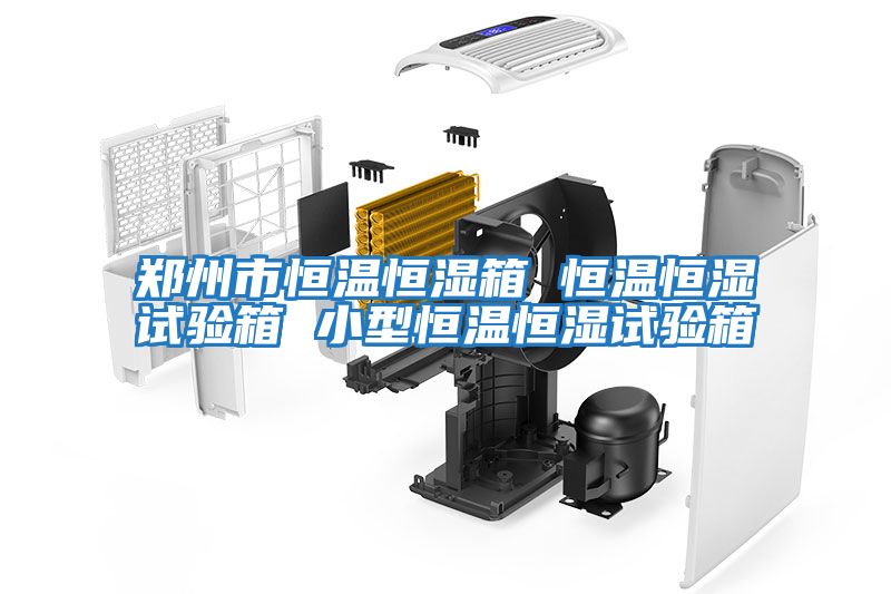 郑州市恒温恒湿箱 恒温恒湿试验箱 小型恒温恒湿试验箱
