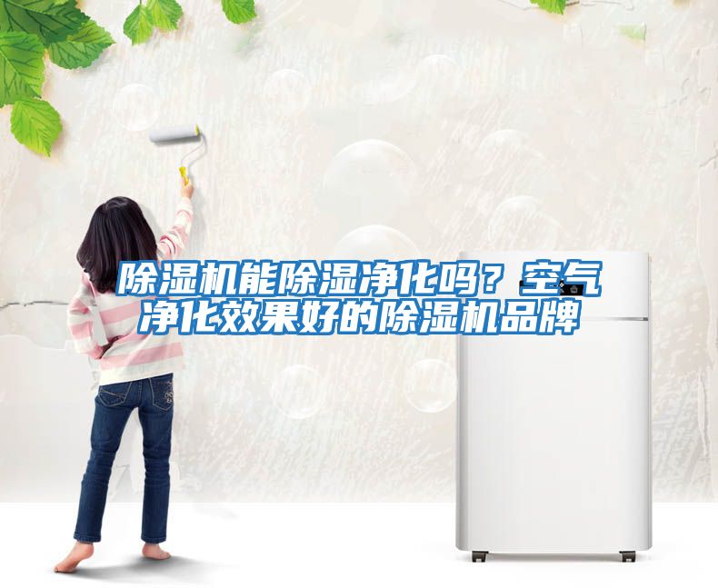 除湿机能除湿净化吗？空气净化效果好的除湿机品牌