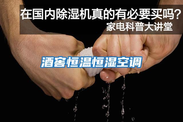 酒窖恒温恒湿空调