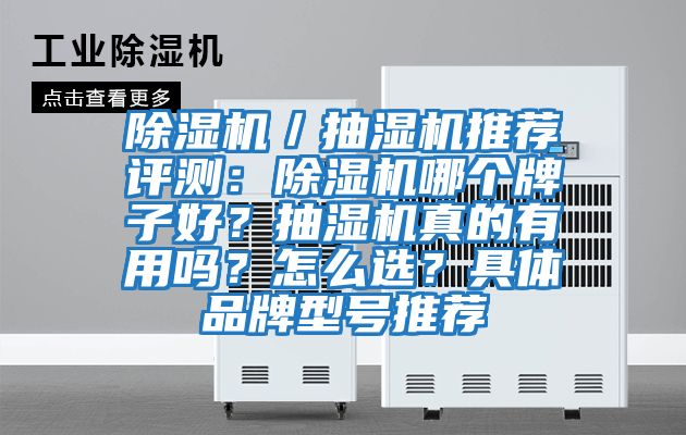除湿机／抽湿机推荐评测：除湿机哪个牌子好？抽湿机真的有用吗？怎么选？具体品牌型号推荐