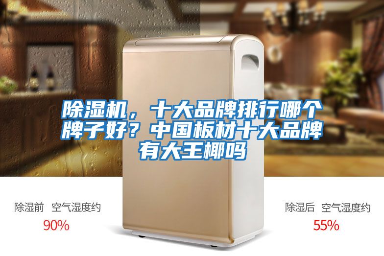 除湿机，十大品牌排行哪个牌子好？中国板材十大品牌有大王椰吗