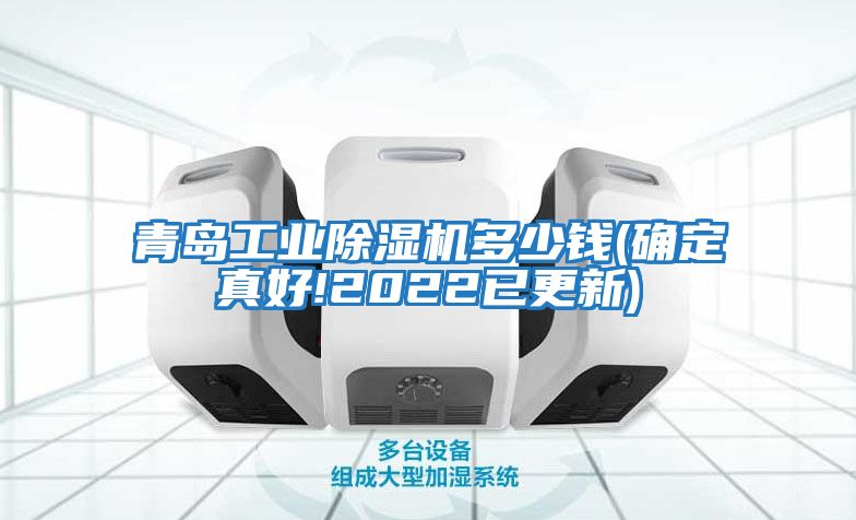 青岛工业除湿机多少钱(确定真好!2022已更新)