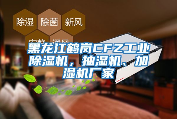 黑龙江鹤岗CFZ工业除湿机，抽湿机、加湿机厂家