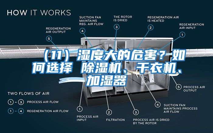 （11）湿度大的危害？如何选择 除湿机、干衣机、加湿器