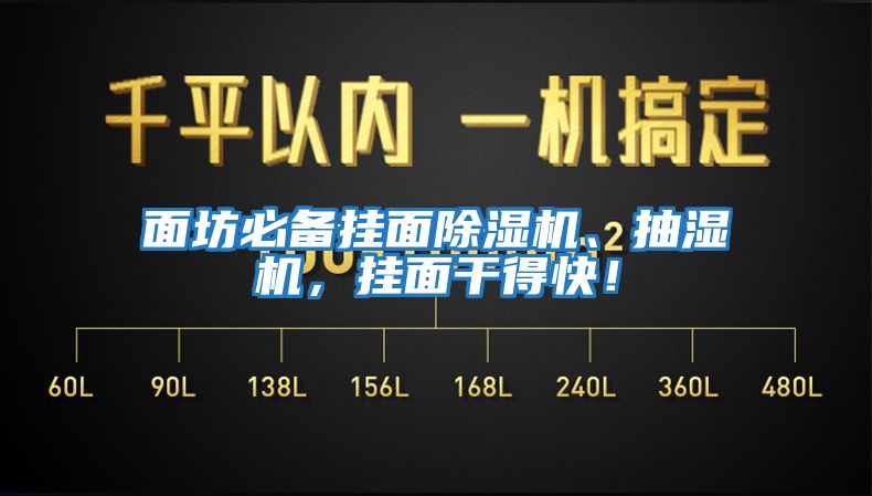 面坊必备挂面除湿机、抽湿机，挂面干得快！