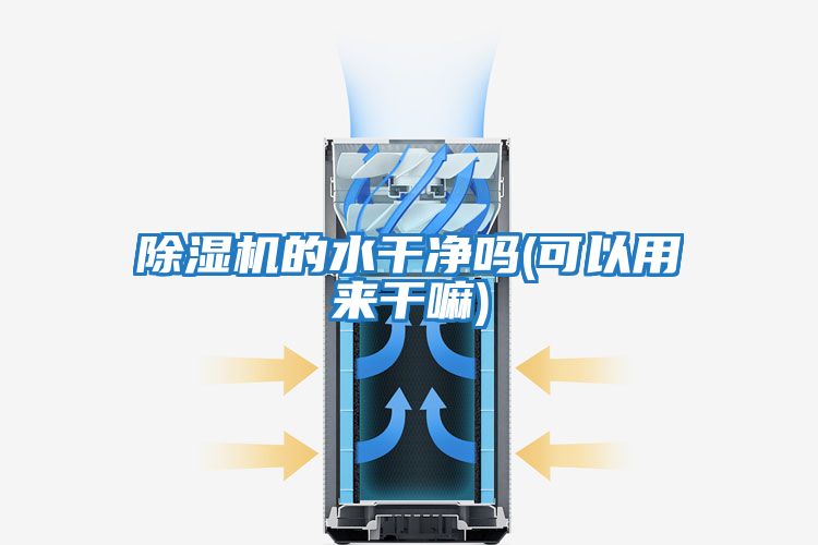 除湿机的水干净吗(可以用来干嘛)