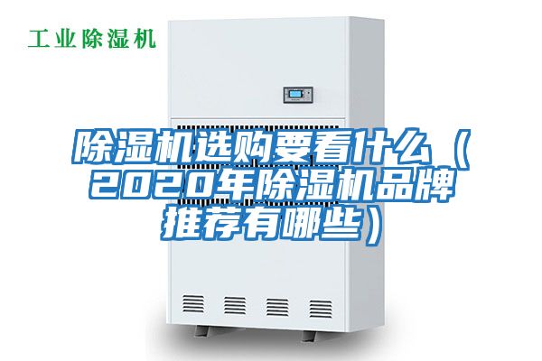 除湿机选购要看什么（2020年除湿机品牌推荐有哪些）