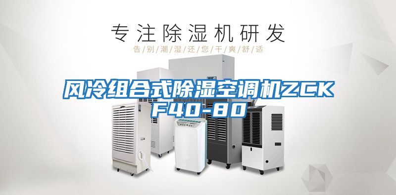 风冷组合式除湿空调机ZCKF40-80