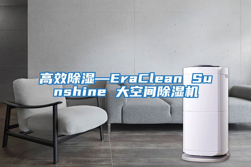 高效除湿—EraClean Sunshine 大空间除湿机