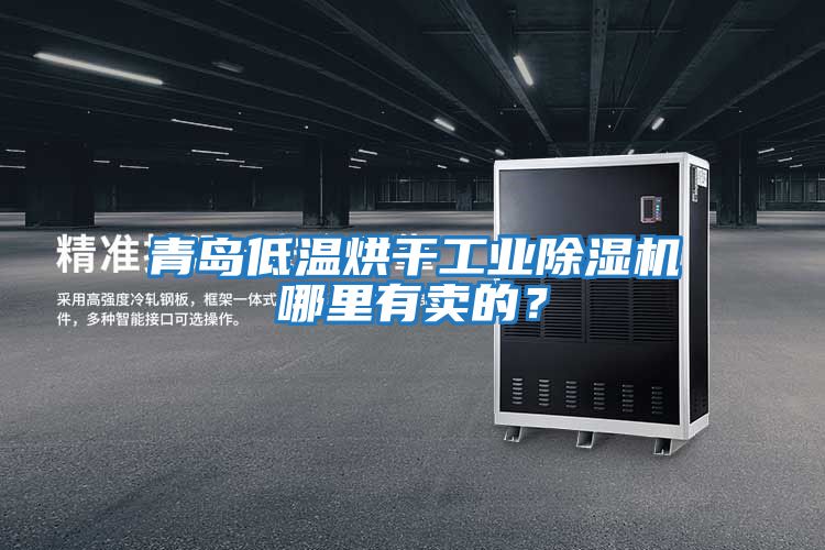 青岛低温烘干工业除湿机哪里有卖的？