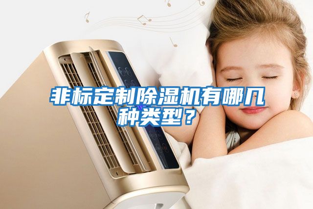 非标定制除湿机有哪几种类型？