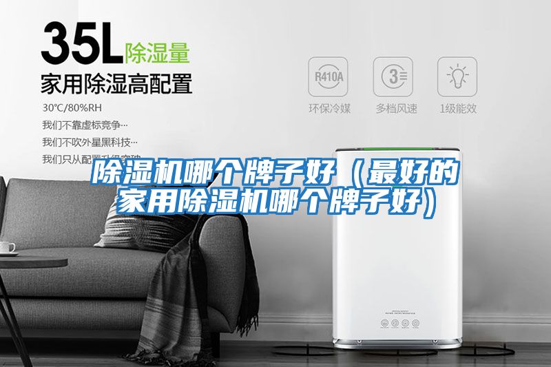 除湿机哪个牌子好（最好的家用除湿机哪个牌子好）
