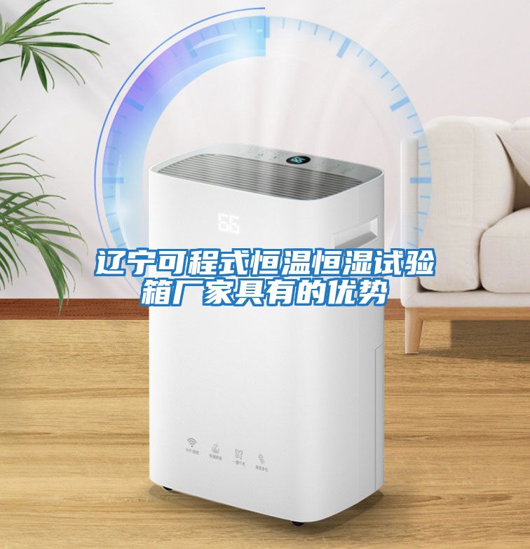 辽宁可程式恒温恒湿试验箱厂家具有的优势