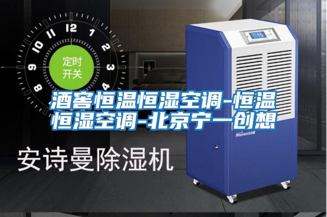 酒窖恒温恒湿空调-恒温恒湿空调-北京宁一创想